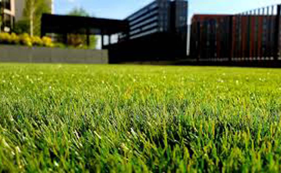 Great Falls, Virginia 1 Artificial Grass Landscape