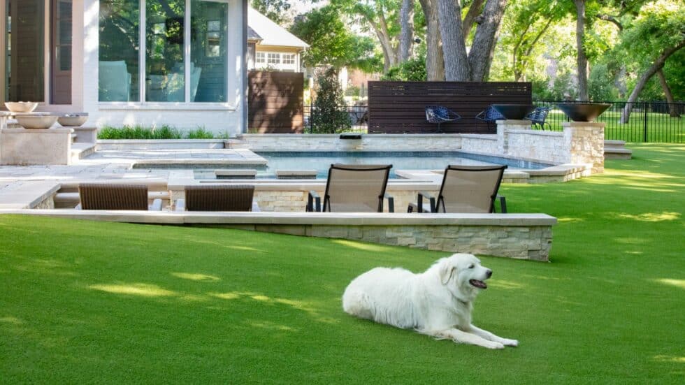 Silver Spring, Maryland 2 Dog Friendly artificial turf